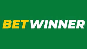 BetWinner Platform A Comprehensive Guide to Online Betting