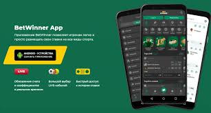 BetWinner Bookmaker Your Ultimate Betting Experience 1994604441